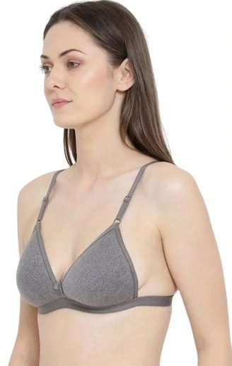 Rupa Softline Amrita Regular Fancy Bra-AMRITAGRY