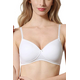 Buy padded Bra-11002WHT